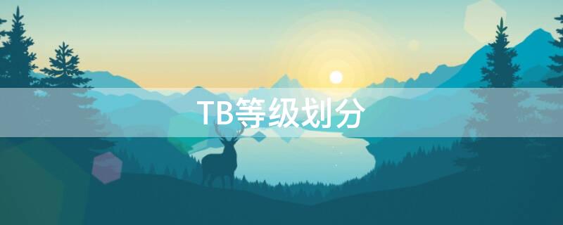 TB等级划分