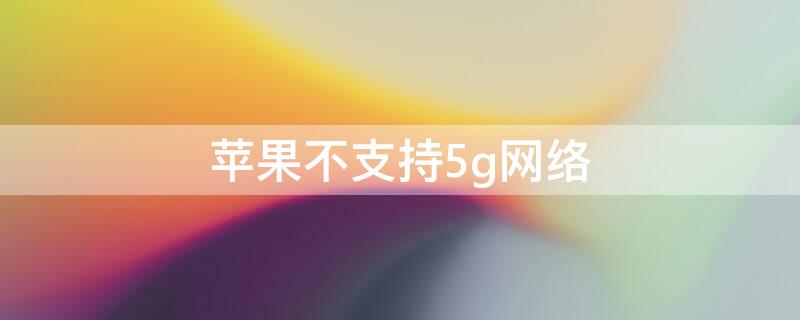 iPhone不支持5g网络