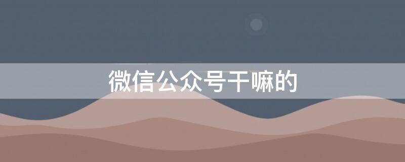 微信公眾號(hào)干嘛的