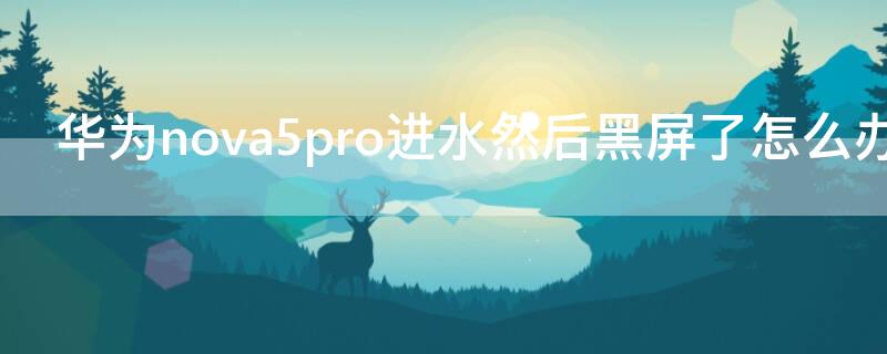 華為nova5pro進(jìn)水然后黑屏了怎么辦