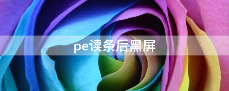 pe讀條后黑屏