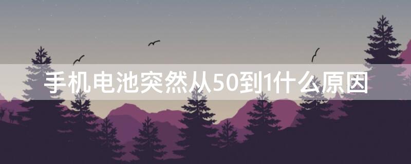 手機(jī)電池突然從50到1什么原因