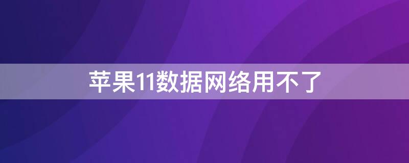 iPhone11數(shù)據(jù)網(wǎng)絡(luò)用不了