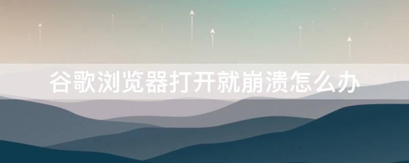 谷歌瀏覽器打開(kāi)就崩潰怎么辦