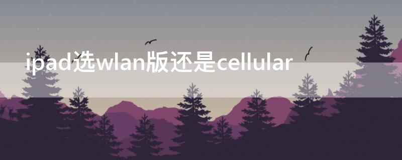 ipad選wlan版還是cellular