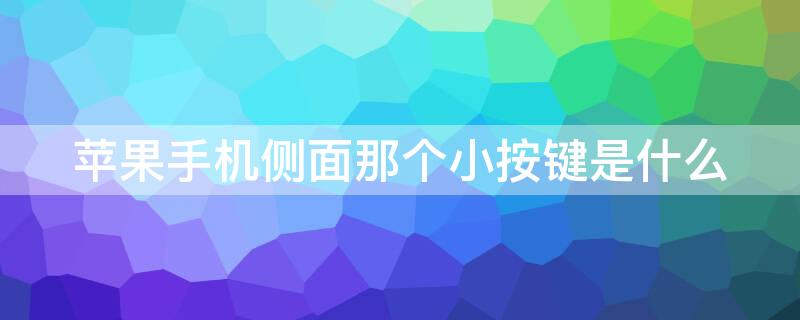 iPhone手机侧面那个小按键是什么