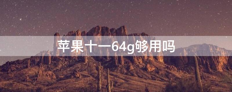 iPhone十一64g够用吗