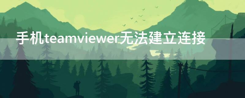 手机teamviewer无法建立连接