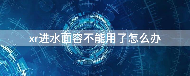 xr进水面容不能用了怎么办