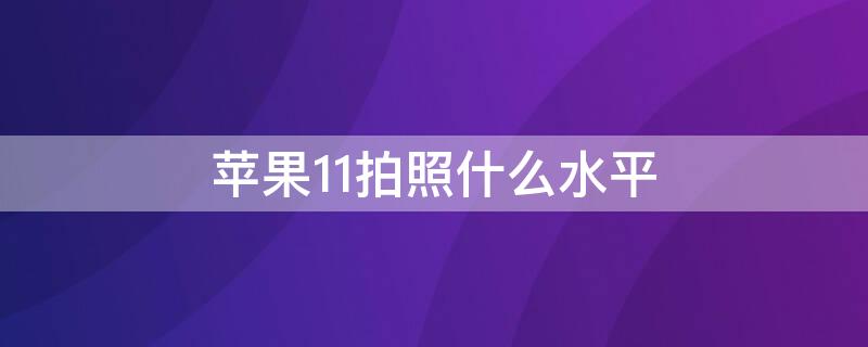 iPhone11拍照什么水平