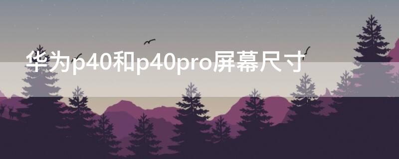 华为p40和p40pro屏幕尺寸