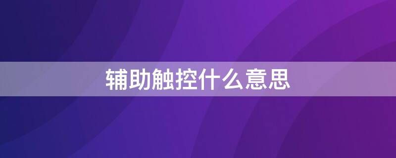 辅助触控什么意思