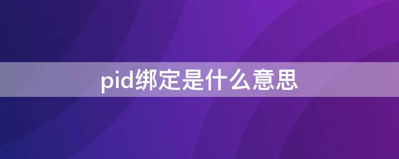 pid绑定是什么意思