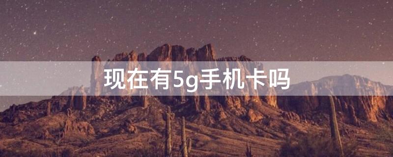 现在有5g手机卡吗