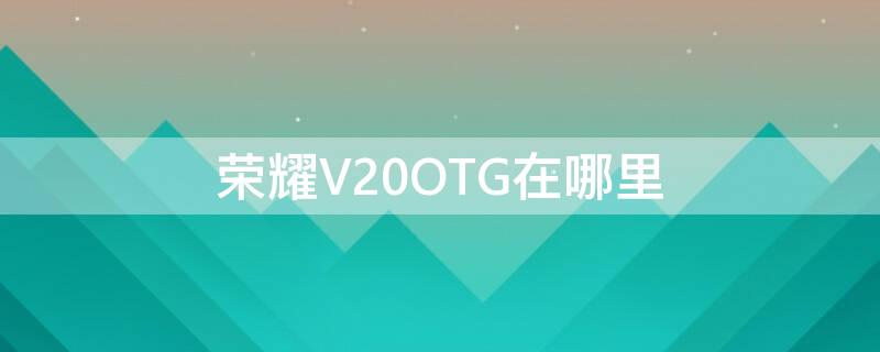 荣耀V20OTG在哪里