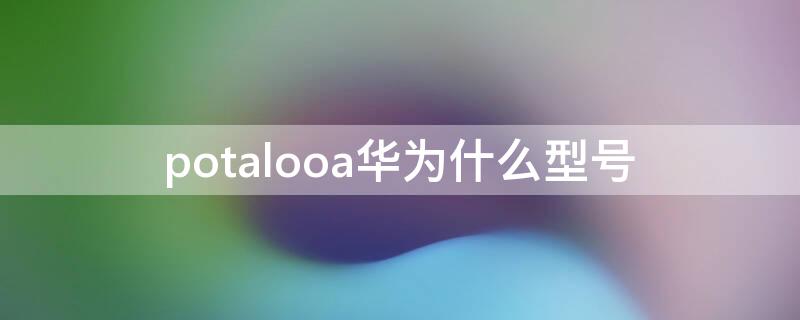 potalooa華為什么型號(hào)