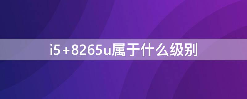 i5 8265u屬于什么級(jí)別