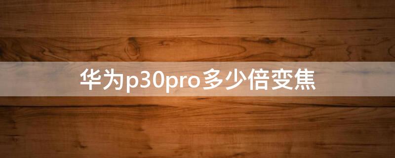 華為p30pro多少倍變焦