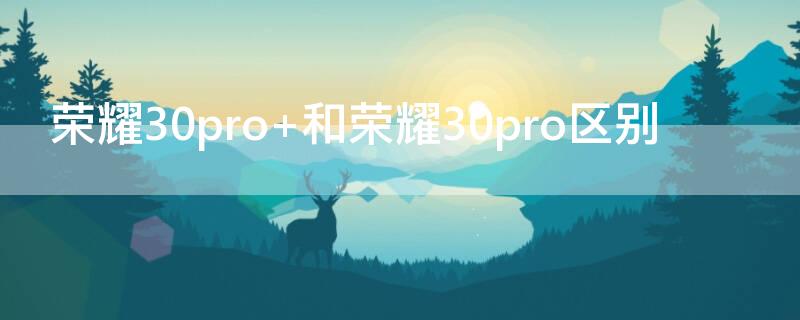 榮耀30pro+和榮耀30pro區(qū)別