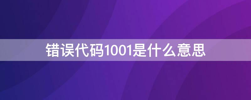 錯誤代碼1001是什么意思