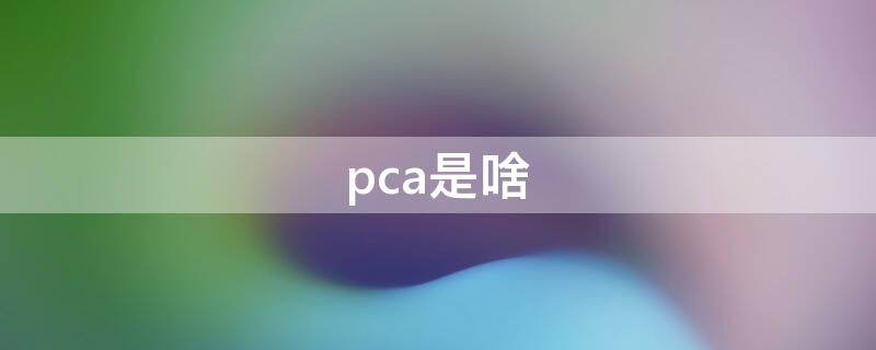 pca是啥