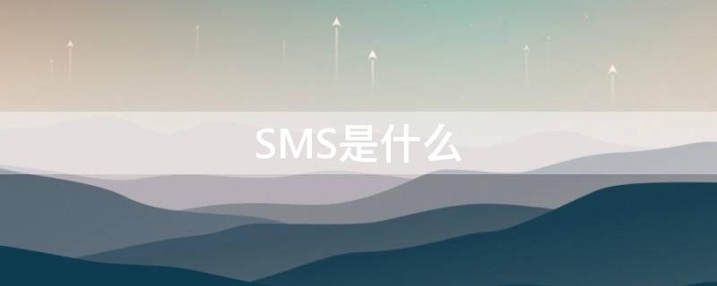 SMS是什么