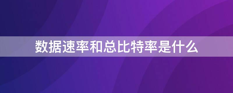 數(shù)據(jù)速率和總比特率是什么