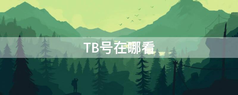 TB号在哪看