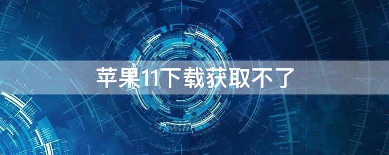 iPhone11下載獲取不了