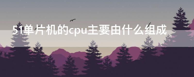 51单片机的cpu主要由什么组成