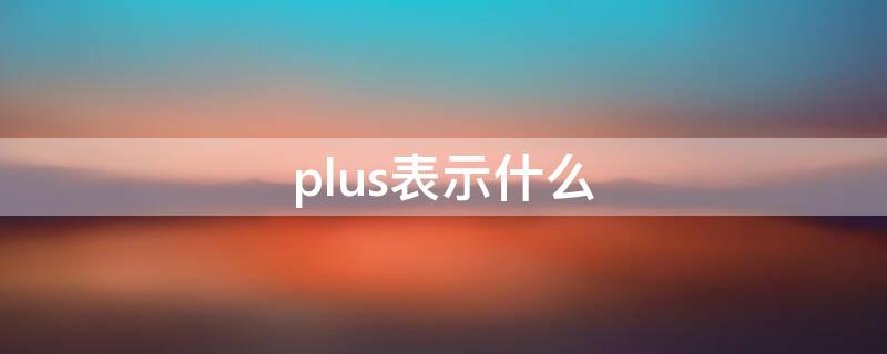 plus表示什么