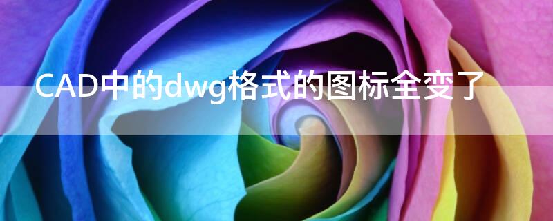 CAD中的dwg格式的图标全变了