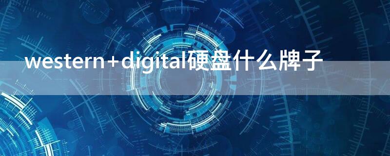 western digital硬盤什么牌子