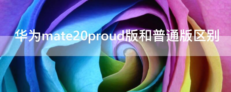 华为mate20proud版和普通版区别