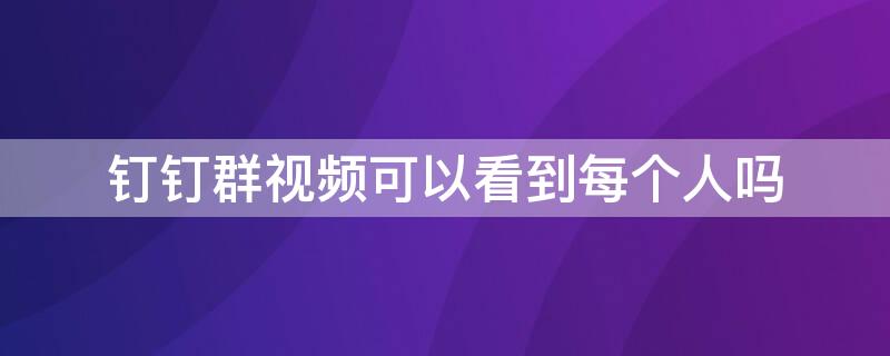 釘釘群視頻可以看到每個人嗎