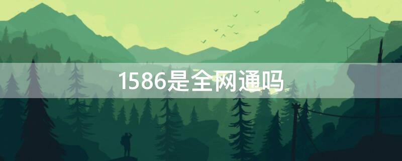 1586是全网通吗