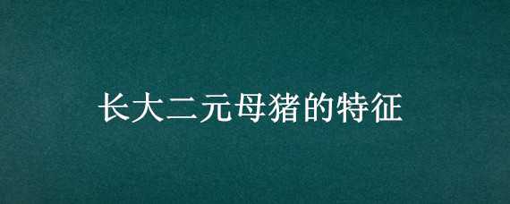 长大二元母猪的特征（长大二元母猪的特征及视频）