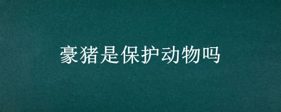 豪猪是保护动物吗 豪猪是保护动物吗可以捕猎吗