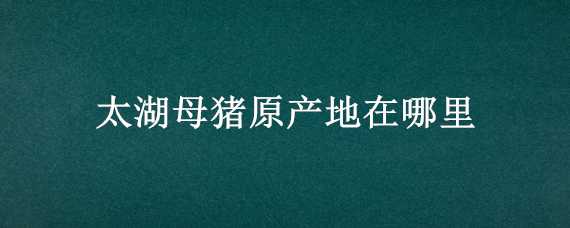 太湖母猪原产地在哪里（太湖母猪原产地在哪里呀）