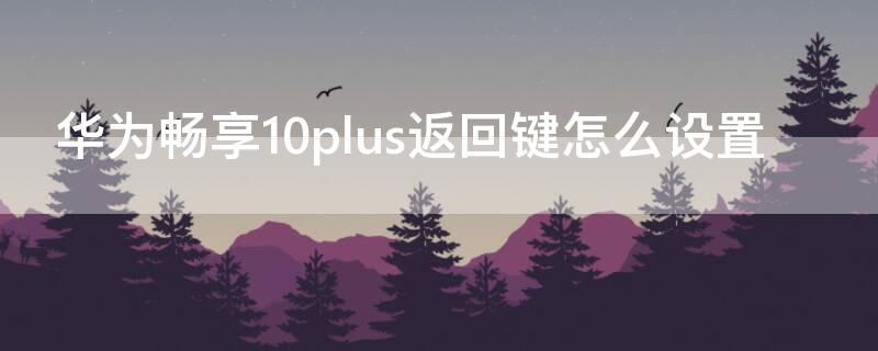 华为畅享10plus返回键怎么设置