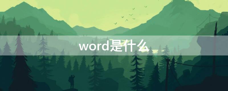 word是什么