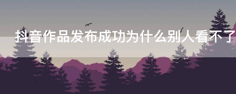 抖音作品發(fā)布成功為什么別人看不了