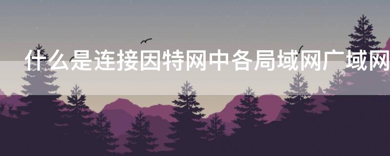 什么是連接因特網(wǎng)中各局域網(wǎng)廣域網(wǎng)的設(shè)備