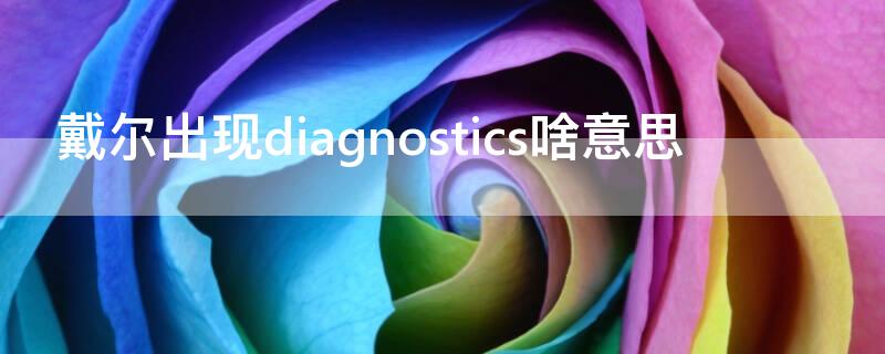 戴爾出現(xiàn)diagnostics啥意思