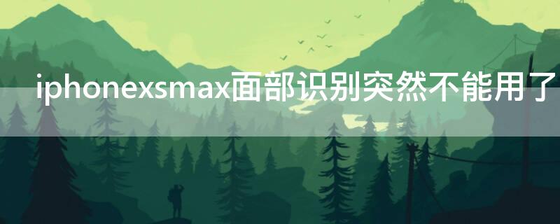 iPhonexsmax面部識別突然不能用了