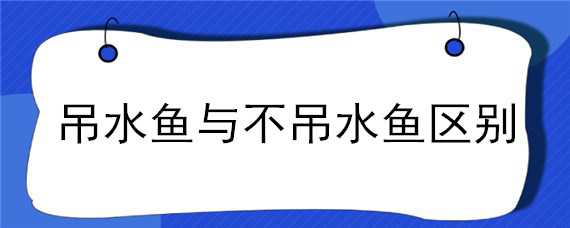 吊水鱼与不吊水鱼区别 吊水鱼与不吊水鱼区别图片