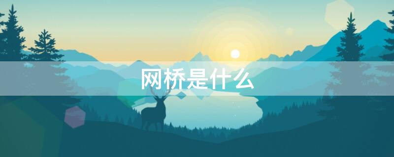 網(wǎng)橋是什么