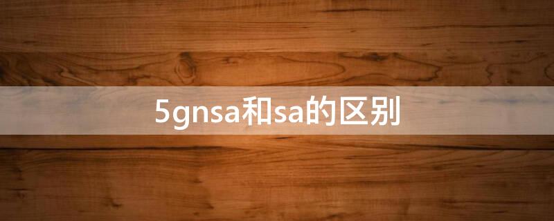 5gnsa和sa的區(qū)別