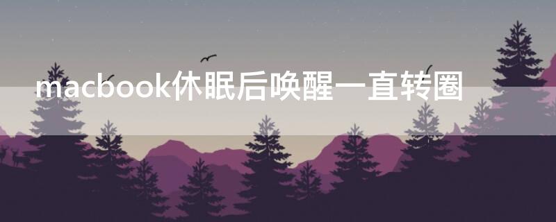 macbook休眠后喚醒一直轉(zhuǎn)圈