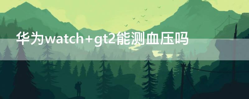 華為watch gt2能測(cè)血壓?jiǎn)?></p>
      <p ><p>華為watch gt不能測(cè)血壓，因?yàn)樵摽钍直聿](méi)有此項(xiàng)功能。在表的背面，可以看到中心集成了心率傳感器、金屬觸點(diǎn)充電接口等，內(nèi)部其實(shí)還有陀螺儀傳感器、氣壓傳感器、電容傳感器、環(huán)境光傳感器等等。</p>
                    <p >    </div>
    
   <div   id=